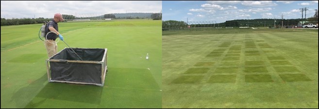 Fleet efficacy trial Set up